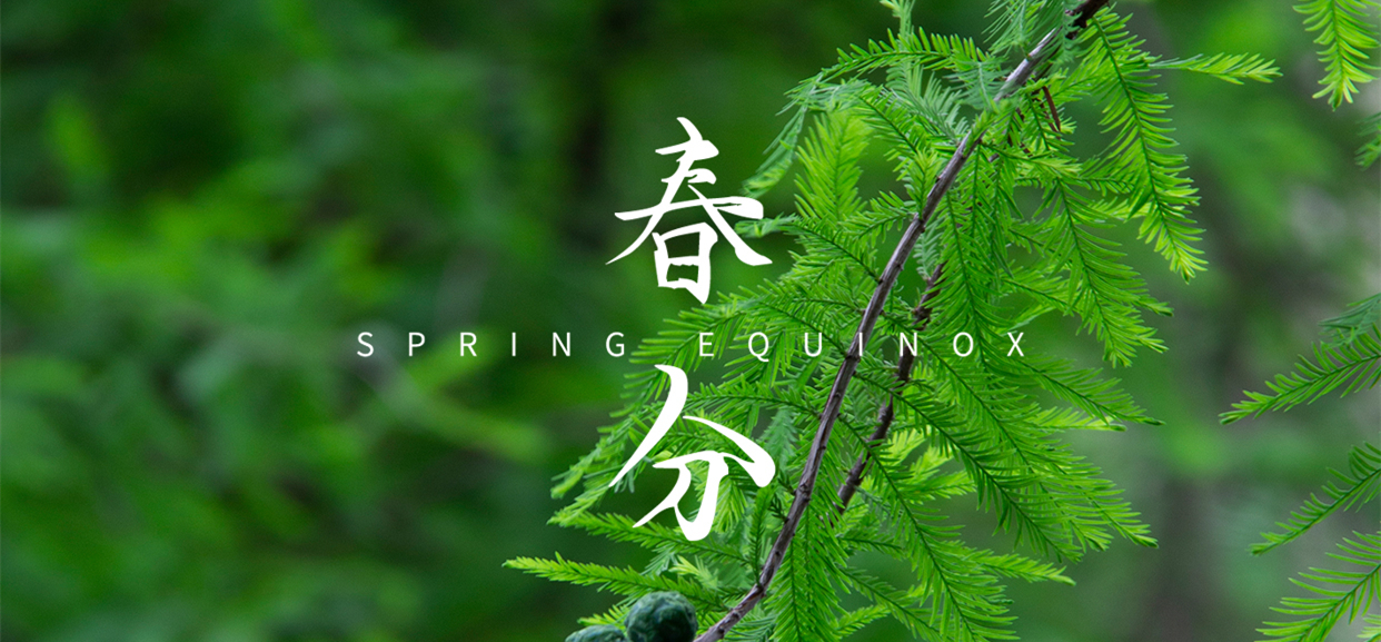 春分 ▎不負(fù)春光，萬(wàn)物生長(zhǎng)