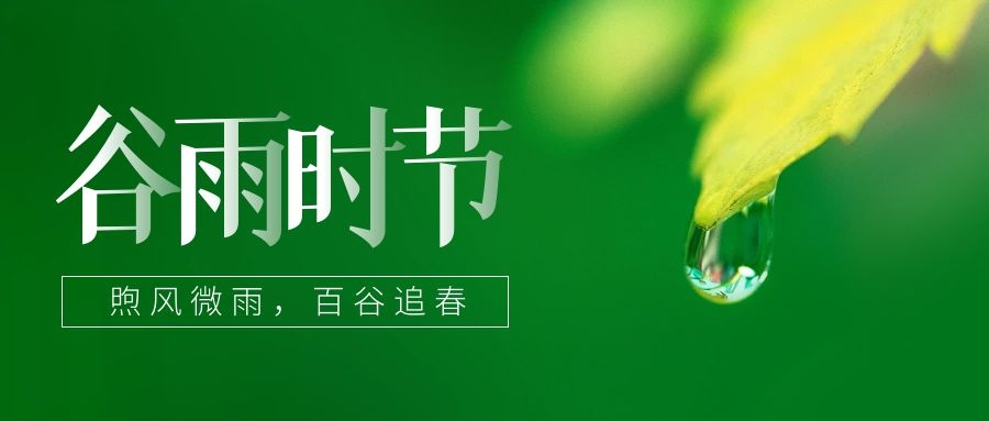 谷雨 ▎雨生百谷，鎖住一抹春色