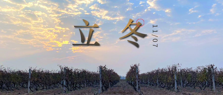 立冬 ▎四時(shí)有序，天地歸藏