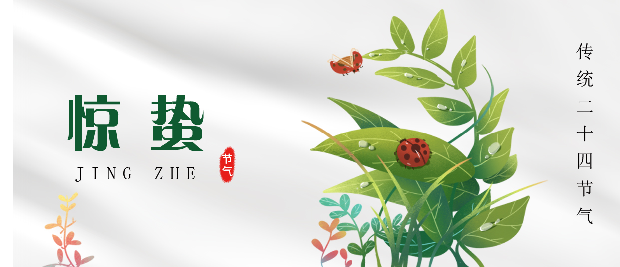 驚蟄 ▎雷鳴春醒，萬物生長