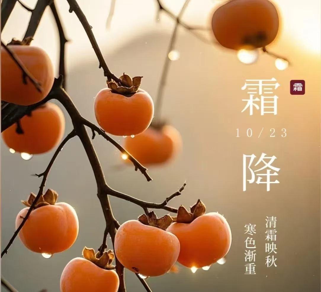 霜降||人間至此秋色盡，草木搖落露為霜